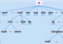 谷歌SEO中长域名和短域名哪个好？